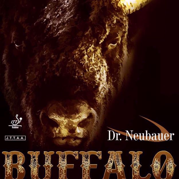 Picture of Dr.Neubauer Buffalo